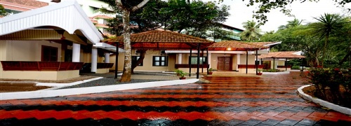 Ayurveda Research Institute Thrissur